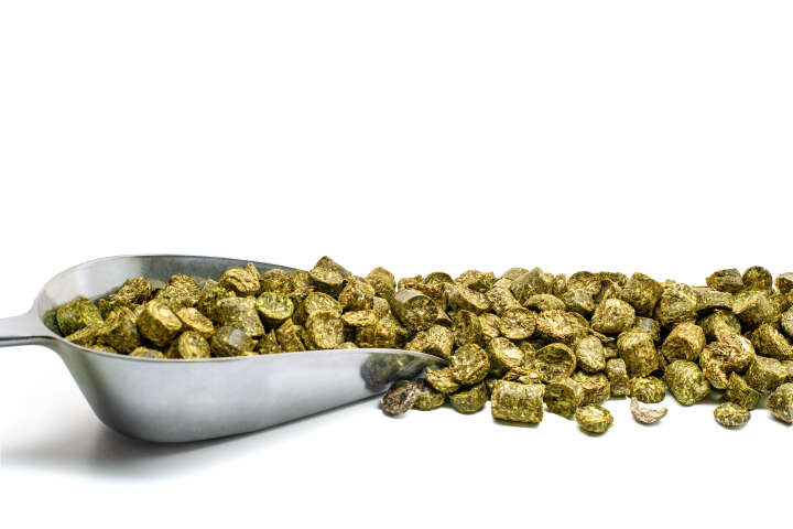 Höveler Senior-Cobs